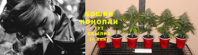 Марихуана SATIVA & INDICA  блэк спрут вход  Нариманов  где продают  